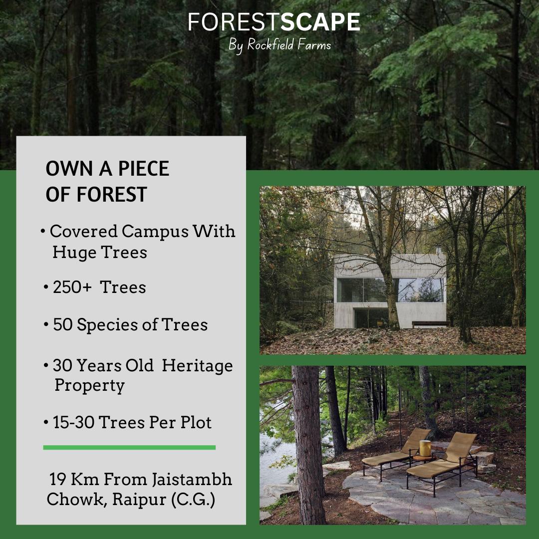 Forestscape Farm Land for Sale on Old Dhamtari Road, Raipur – Nature Living & Smart Investment