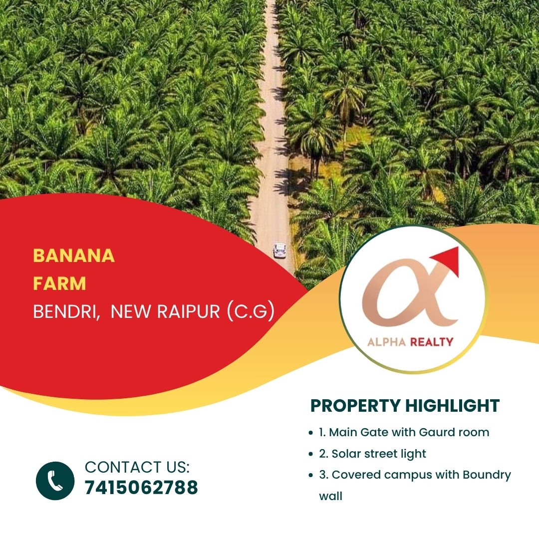 Banana Farm  Plot's On Bendri,  New Raipur