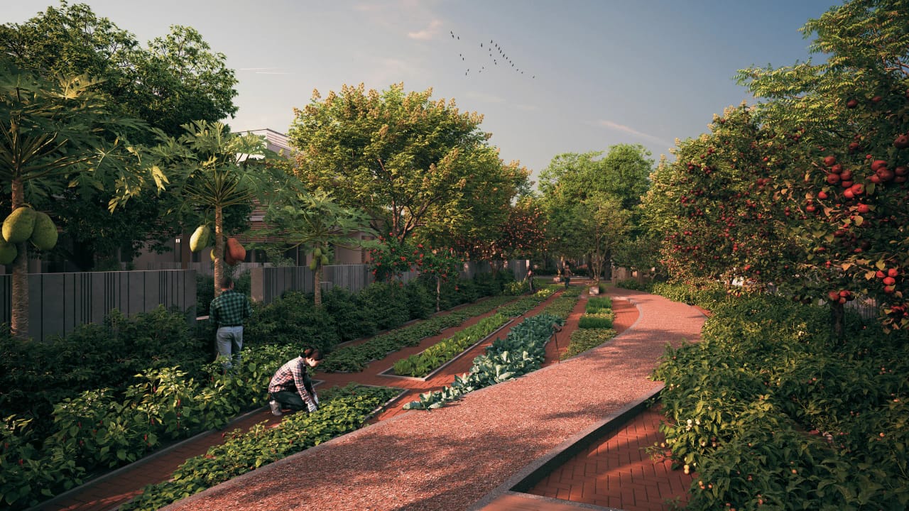 Luxury Residential Projects Near Naya Raipur