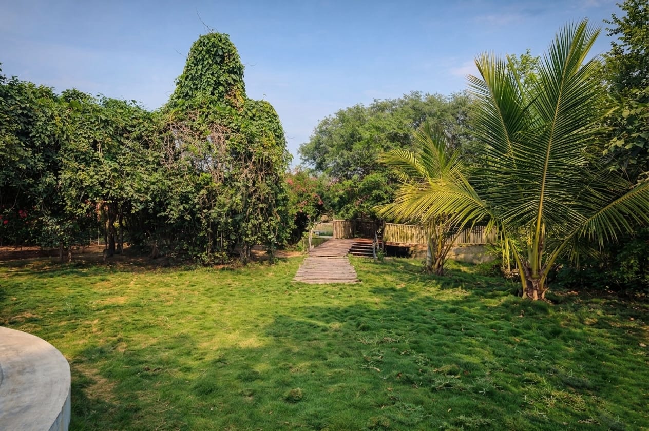 River Facing Farmhouse for Sale in Raipur | 1 Acre Land in Village Khatti | Near Kamal Vihar & Bhatagaon