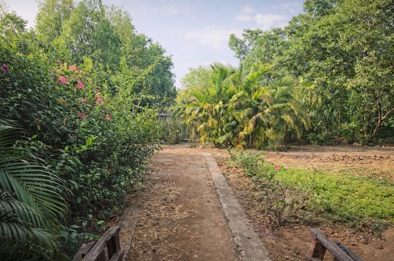 River Facing Farmhouse for Sale in Raipur | 1 Acre Land in Village Khatti | Near Kamal Vihar & Bhatagaon