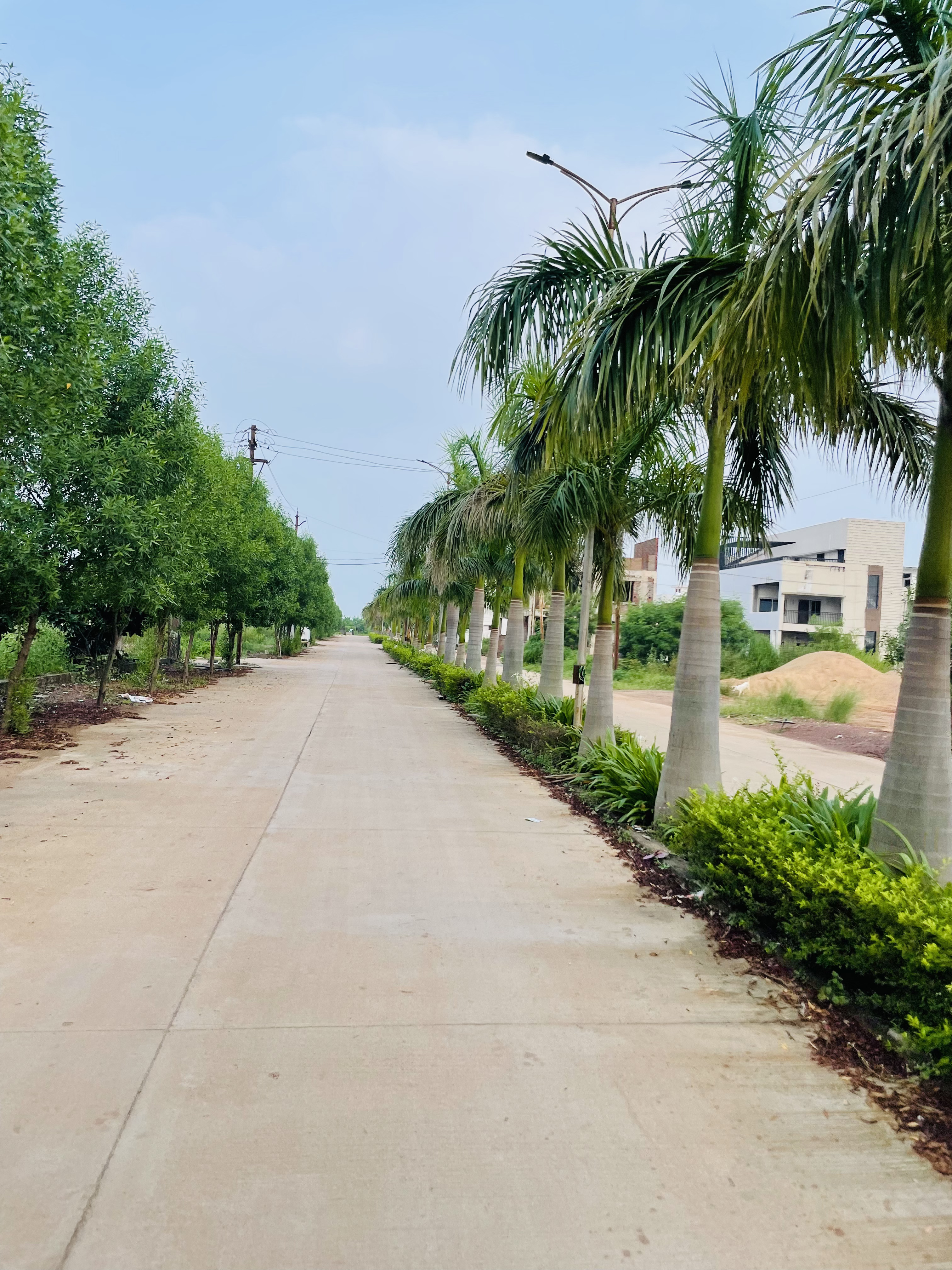 🏡Residential Plots for Sale in Goodluck Residency, Old Dhamtari Road, Raipur | RERA Approved |